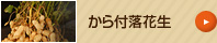 から付落花生綿賞味