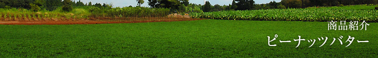 ピーナッツバター